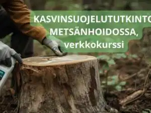 Kasvinsuojelututkinto metsänhoidossa