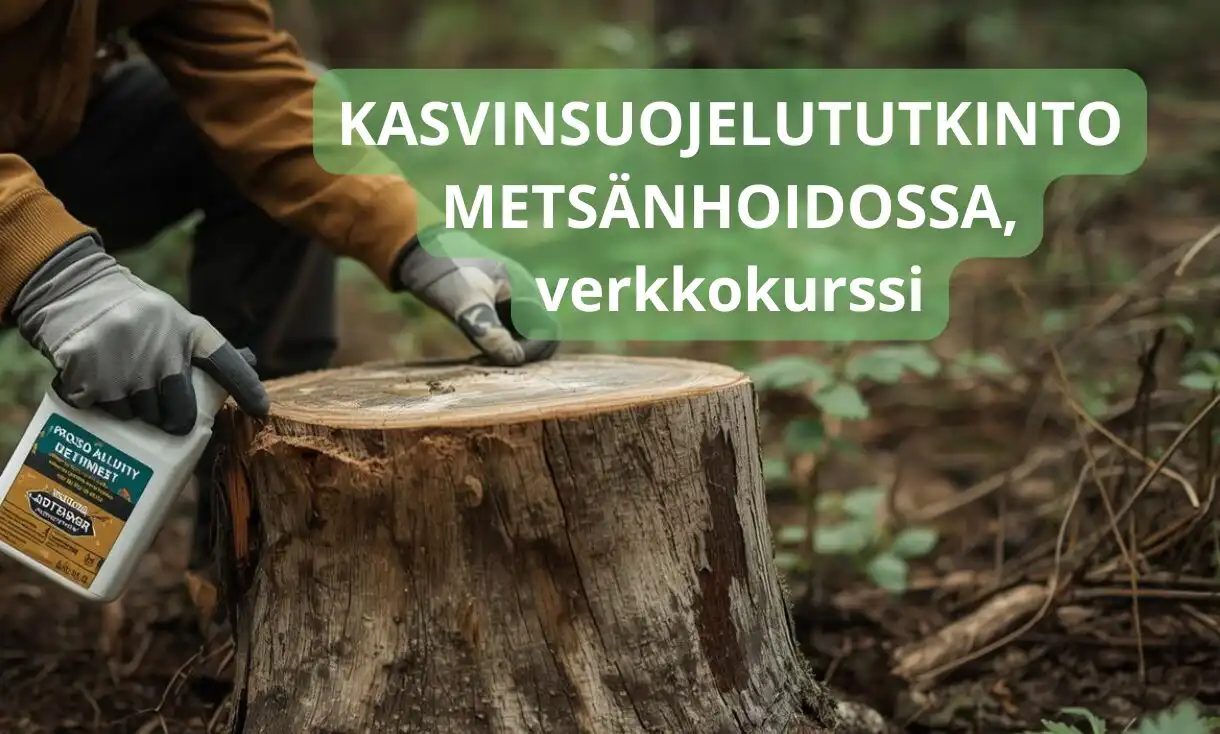 Kasvinsuojelututkinto metsänhoidossa