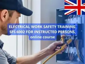 Electrical Work Safety Training SFS 6002 for Instructed Persons, online