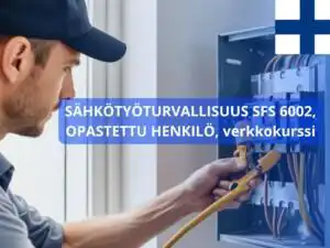 SFS 6002 Opastettu